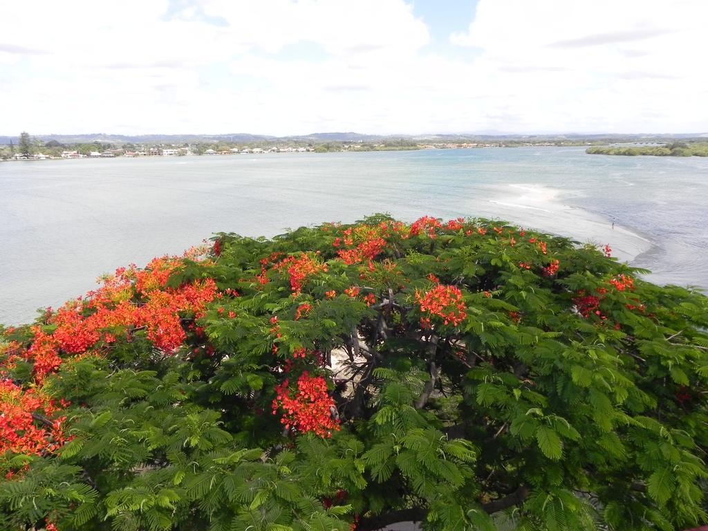 Leisure-Lee Holiday Apartments Ballina Eksteriør billede